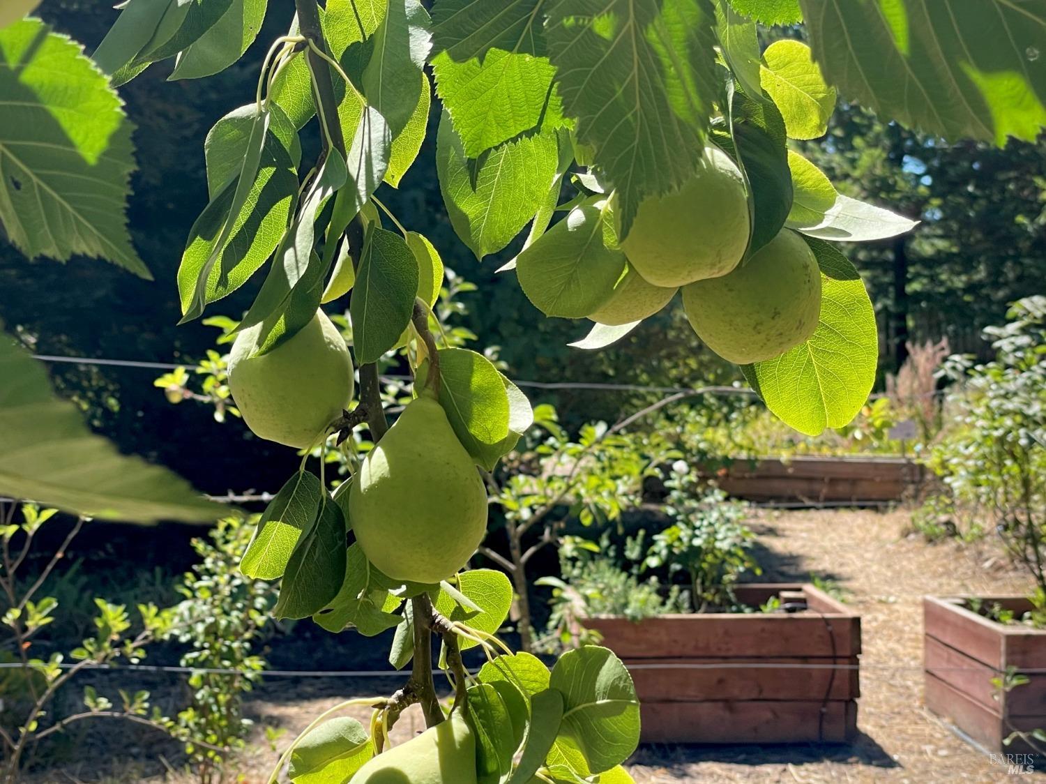 Detail Gallery Image 77 of 95 For 4038 E 3rd Ave, Napa,  CA 94558 - 4 Beds | 3 Baths