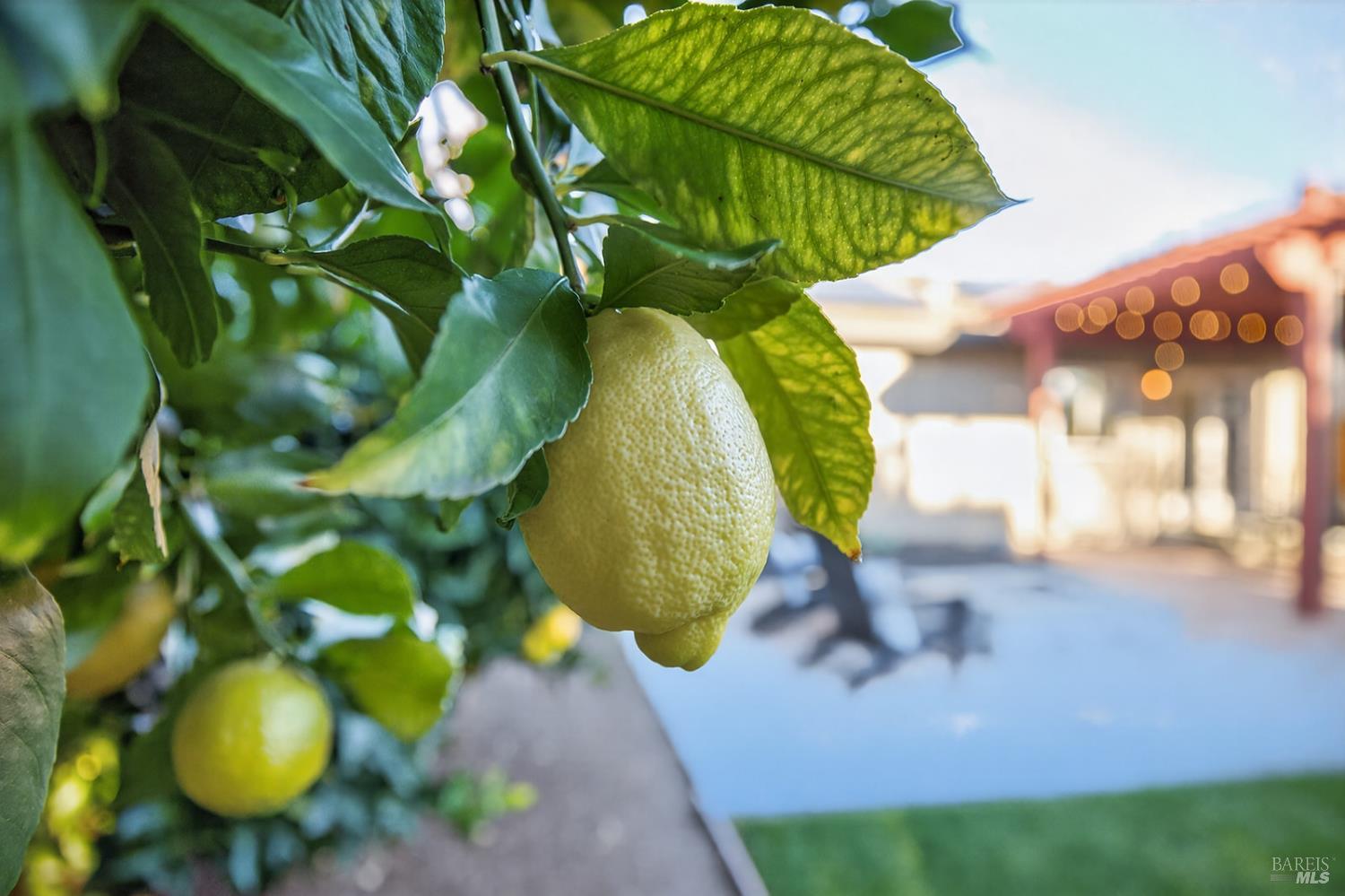 Detail Gallery Image 43 of 48 For 1056 Esparto Ct, Windsor,  CA 95492 - 3 Beds | 2 Baths