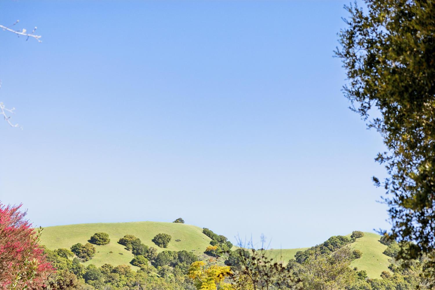 Detail Gallery Image 53 of 58 For 1200 Idylberry Rd, San Rafael,  CA 94903 - 4 Beds | 2 Baths