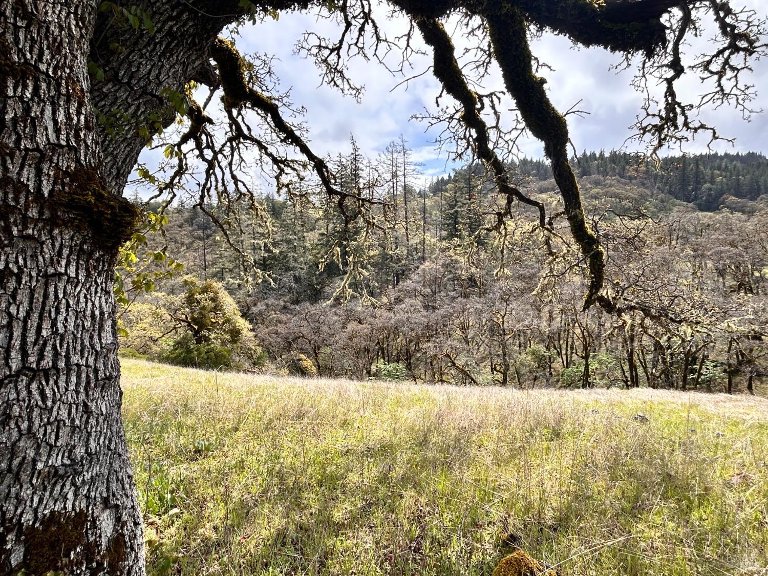 Detail Gallery Image 71 of 75 For 8401 Brandywine Dr, Ukiah,  CA 95482 - 2 Beds | 1 Baths