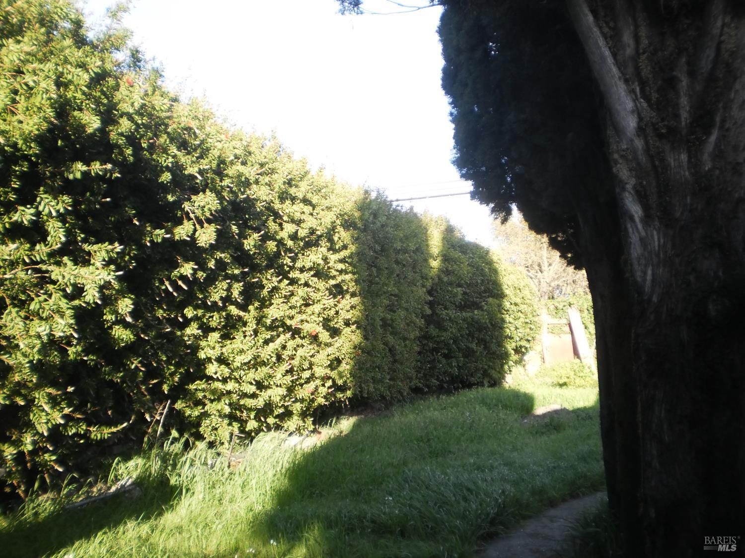 Detail Gallery Image 8 of 20 For 1911 Corby Ave, Santa Rosa,  CA 95407 - 5 Beds | 2 Baths