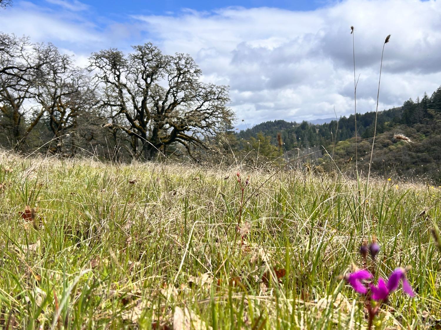 Detail Gallery Image 69 of 75 For 8401 Brandywine Dr, Ukiah,  CA 95482 - 2 Beds | 1 Baths