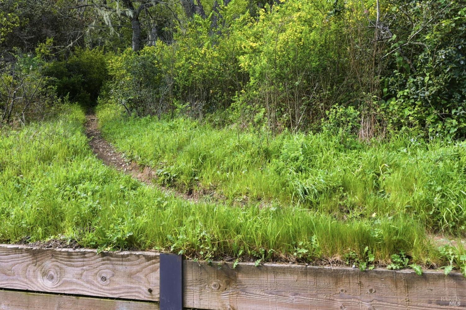 Detail Gallery Image 54 of 58 For 711 Forest Way, Mill Valley,  CA 94941 - 4 Beds | 3/1 Baths