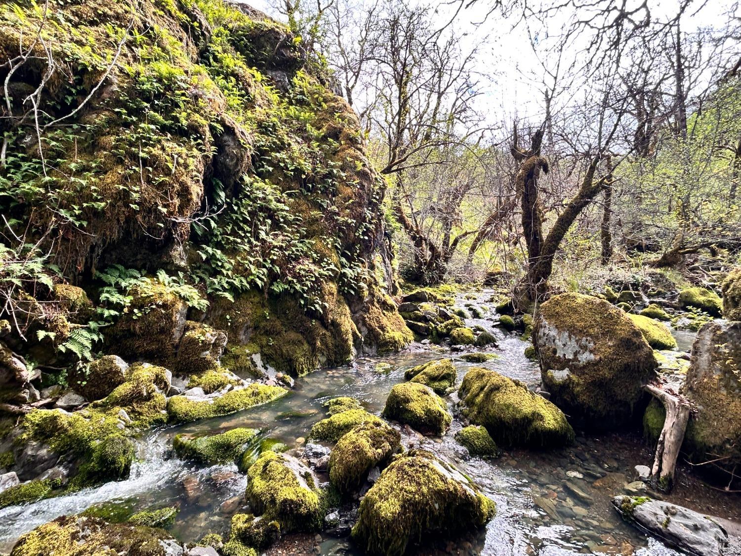 Detail Gallery Image 38 of 75 For 8401 Brandywine Dr, Ukiah,  CA 95482 - 2 Beds | 1 Baths