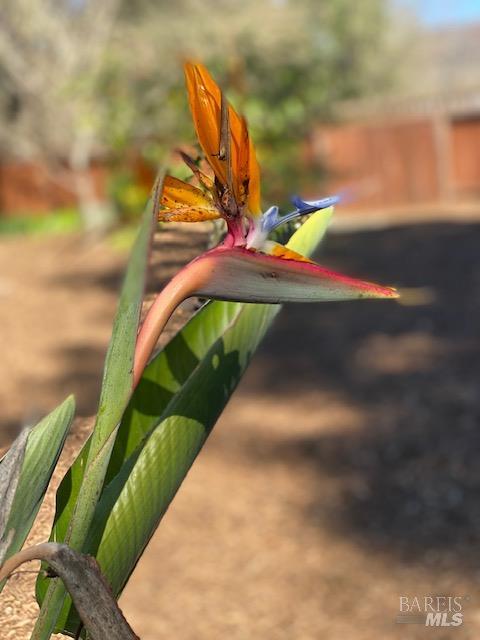 Detail Gallery Image 47 of 52 For 838 Oakwood Dr, Sonoma,  CA 95476 - 3 Beds | 2 Baths