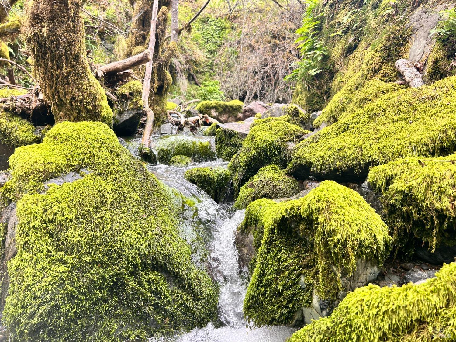 Detail Gallery Image 45 of 75 For 8401 Brandywine Dr, Ukiah,  CA 95482 - 2 Beds | 1 Baths