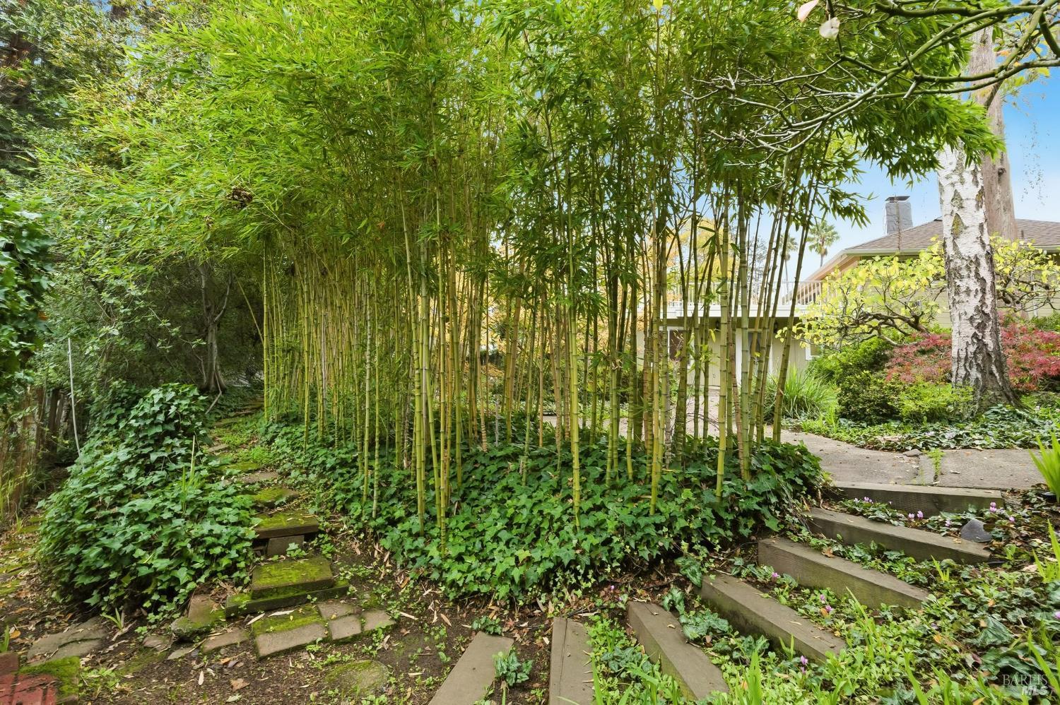 Detail Gallery Image 7 of 59 For 40 Newhall Dr, San Rafael,  CA 94901 - 4 Beds | 3/1 Baths