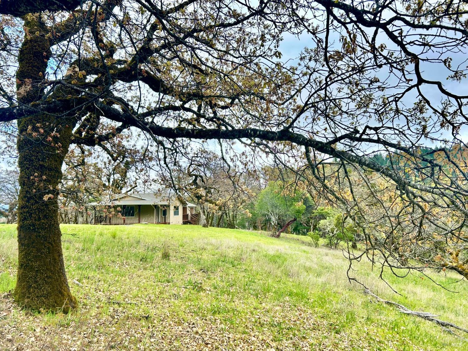 Detail Gallery Image 36 of 75 For 8401 Brandywine Dr, Ukiah,  CA 95482 - 2 Beds | 1 Baths