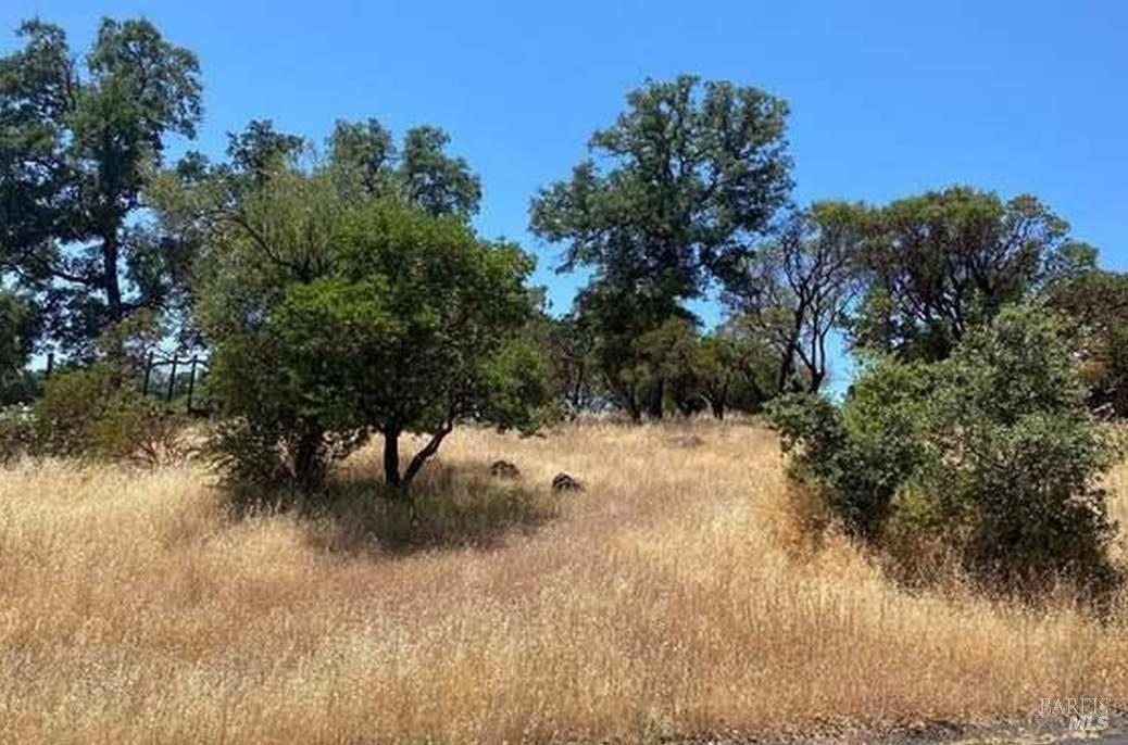 Detail Gallery Image 7 of 7 For 16717 Hawks Hill Rd, Hidden Valley Lake,  CA 95467 - – Beds | – Baths