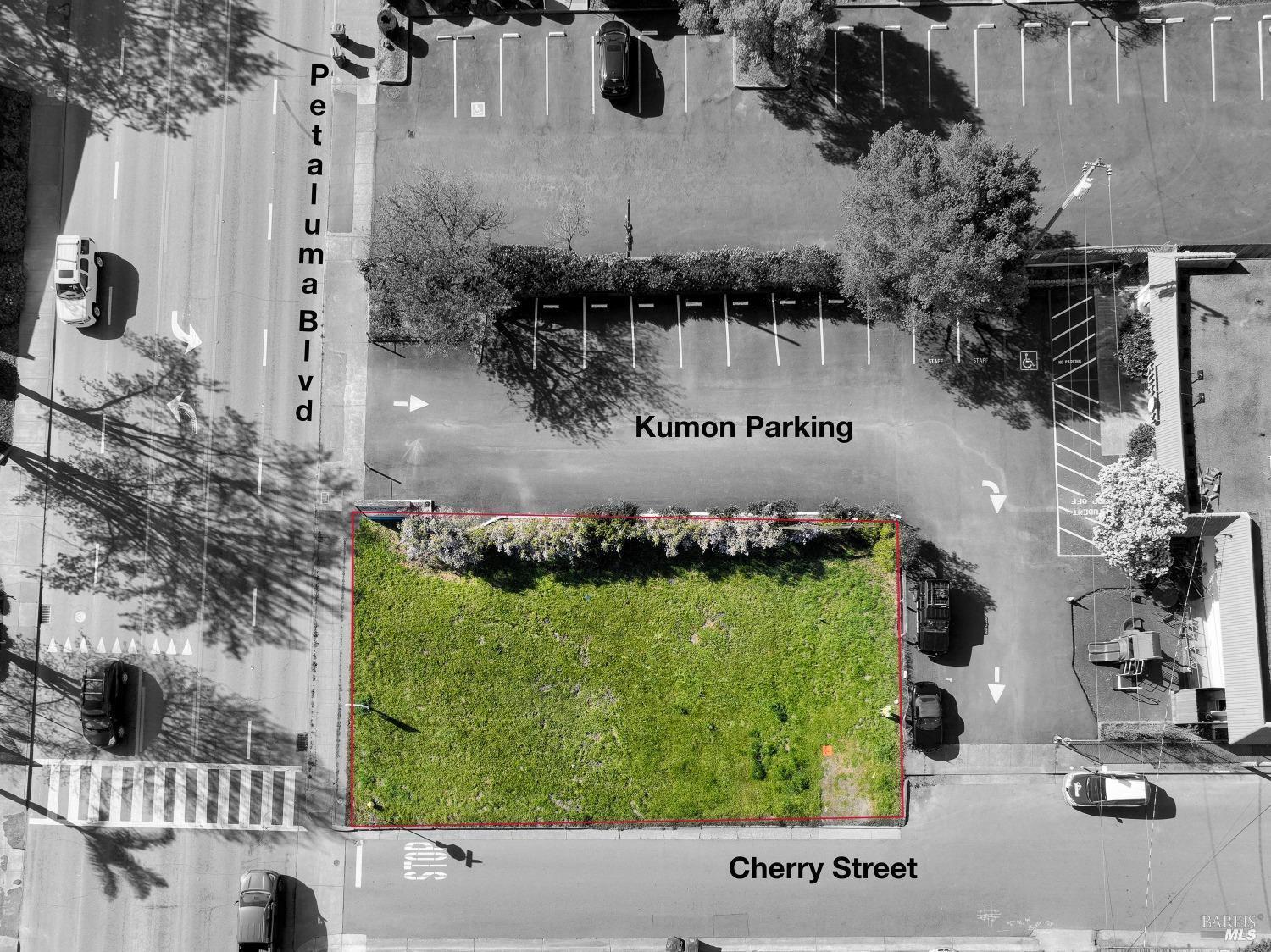 Detail Gallery Image 6 of 6 For 719 Petaluma Blvd, Petaluma,  CA 94952 - – Beds | – Baths