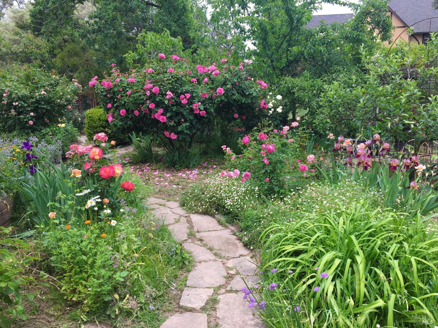 Detail Gallery Image 86 of 95 For 4038 E 3rd Ave, Napa,  CA 94558 - 4 Beds | 3 Baths