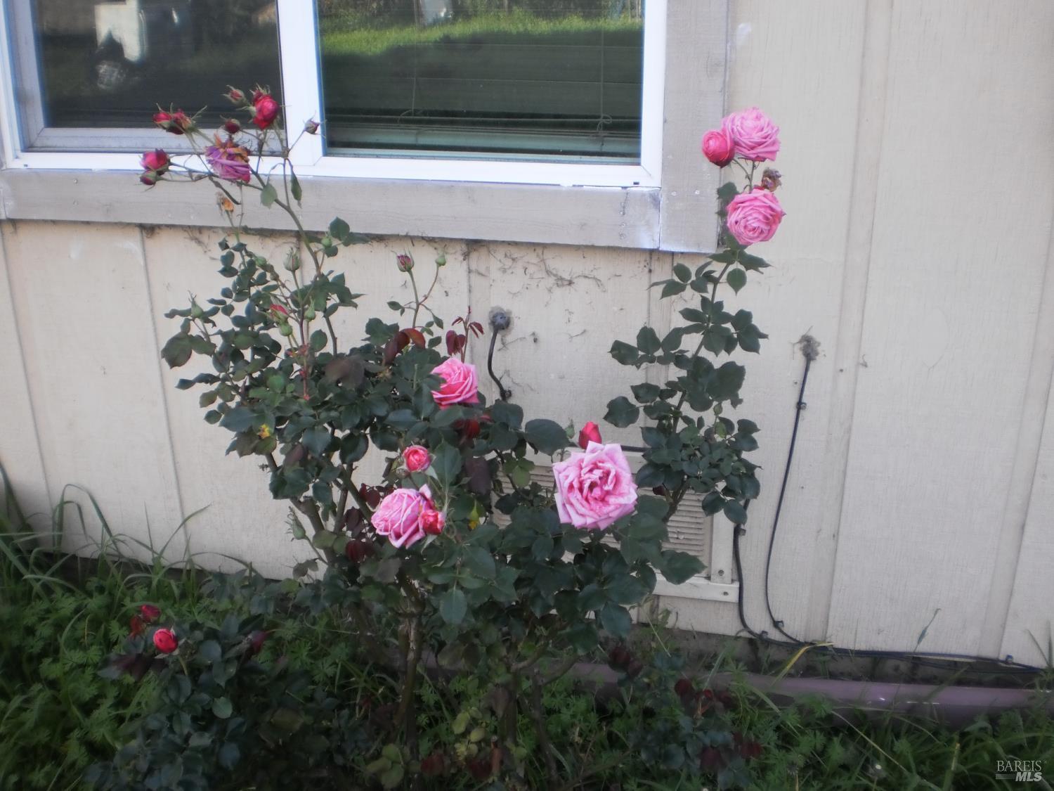 Front Image Thumbnail for BA326019411