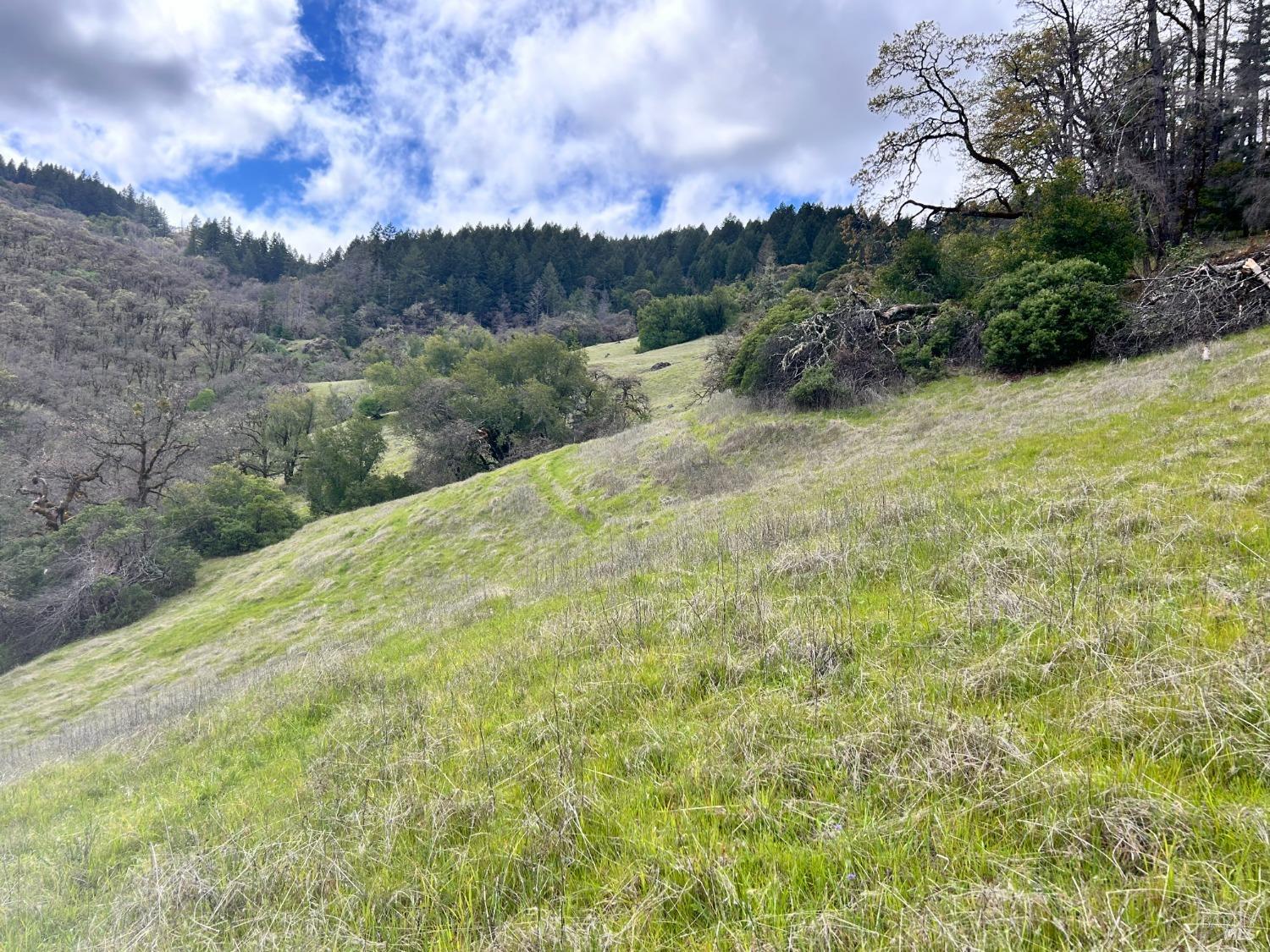 Detail Gallery Image 61 of 75 For 8401 Brandywine Dr, Ukiah,  CA 95482 - 2 Beds | 1 Baths