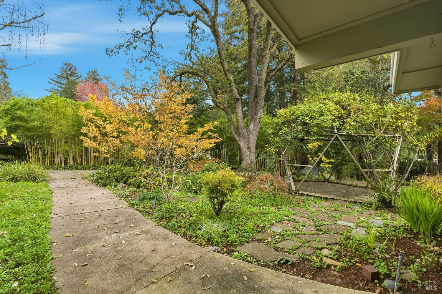 Detail Gallery Image 9 of 59 For 40 Newhall Dr, San Rafael,  CA 94901 - 4 Beds | 3/1 Baths