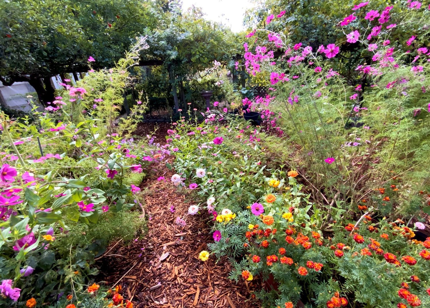 Detail Gallery Image 70 of 95 For 4038 E 3rd Ave, Napa,  CA 94558 - 4 Beds | 3 Baths