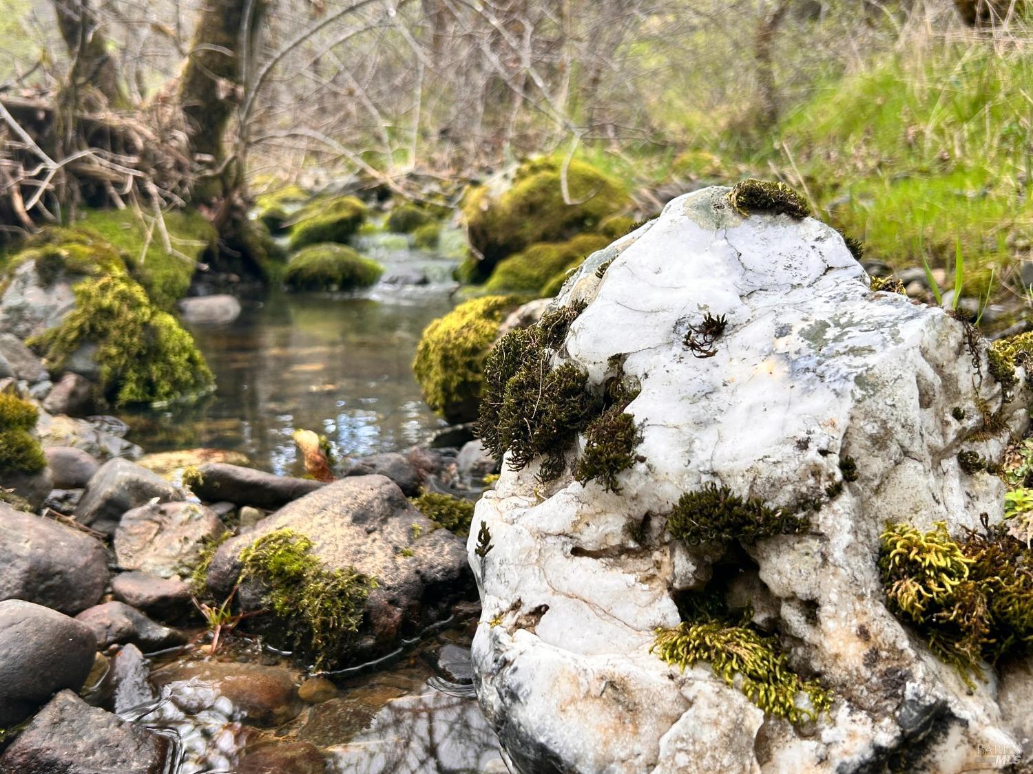 Detail Gallery Image 53 of 75 For 8401 Brandywine Dr, Ukiah,  CA 95482 - 2 Beds | 1 Baths