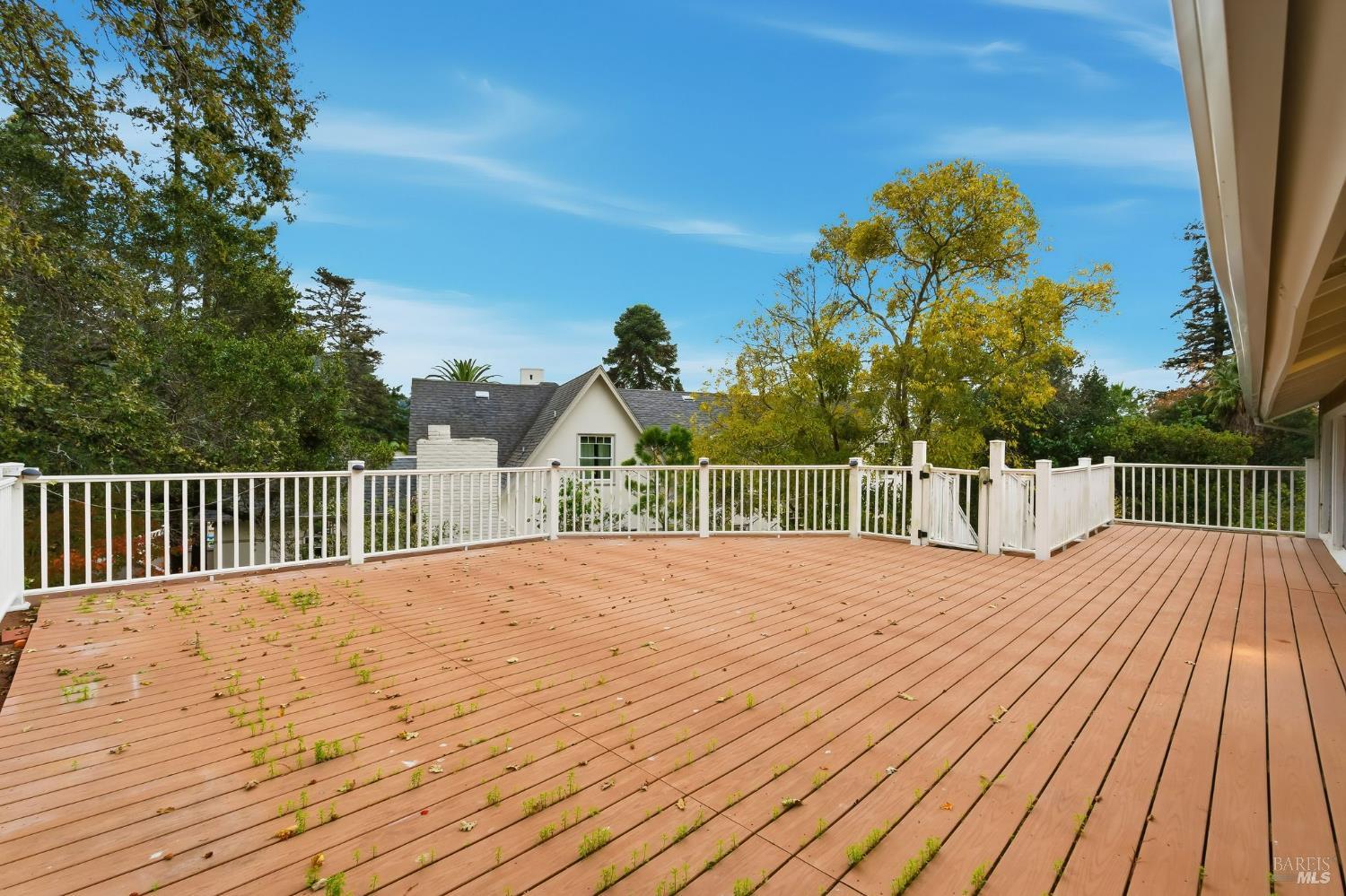 Detail Gallery Image 18 of 59 For 40 Newhall Dr, San Rafael,  CA 94901 - 4 Beds | 3/1 Baths