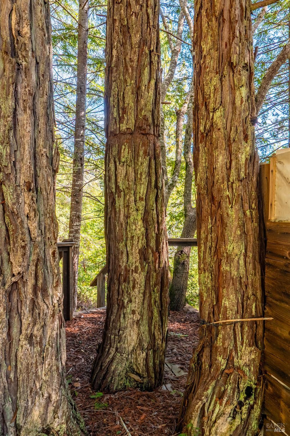 Detail Gallery Image 63 of 71 For 1910 Charoliase Dr, Navarro,  CA 95463 - 2 Beds | 1 Baths