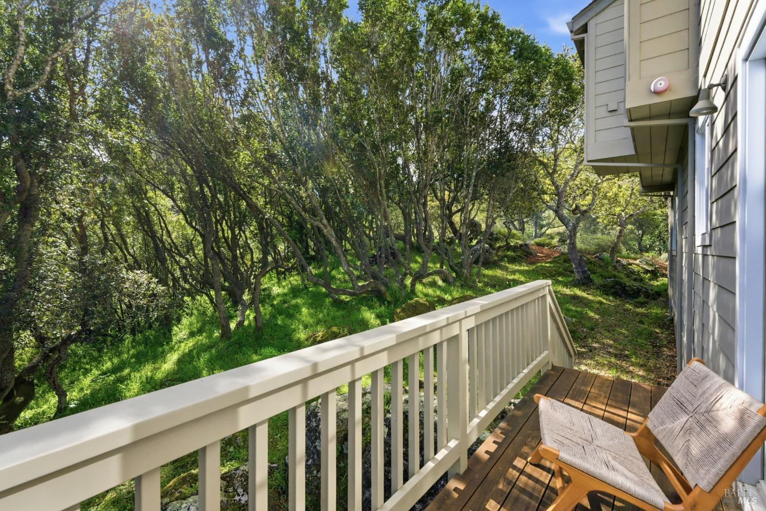 Detail Gallery Image 56 of 58 For 711 Forest Way, Mill Valley,  CA 94941 - 4 Beds | 3/1 Baths