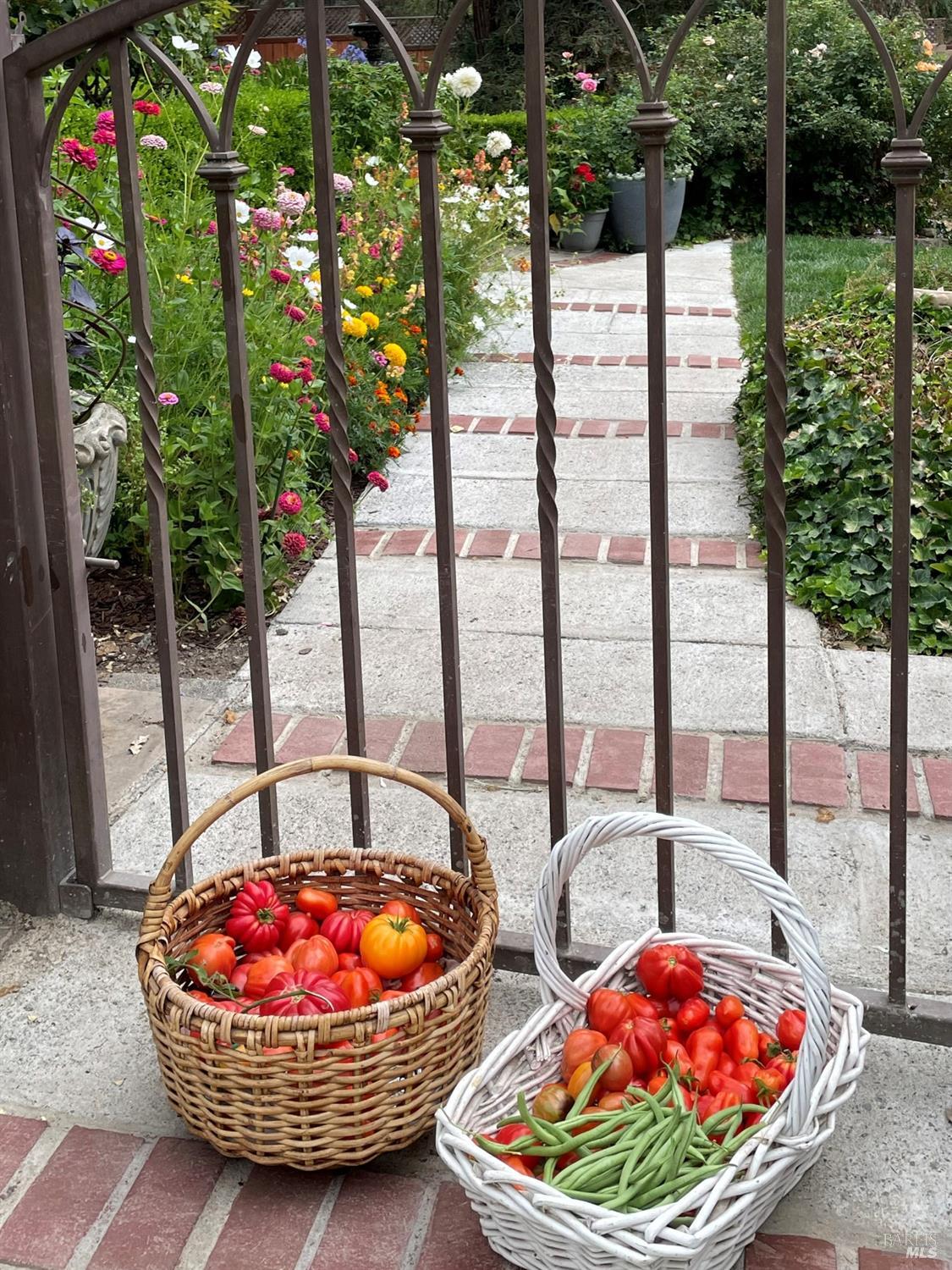 Detail Gallery Image 95 of 95 For 4038 E 3rd Ave, Napa,  CA 94558 - 4 Beds | 3 Baths