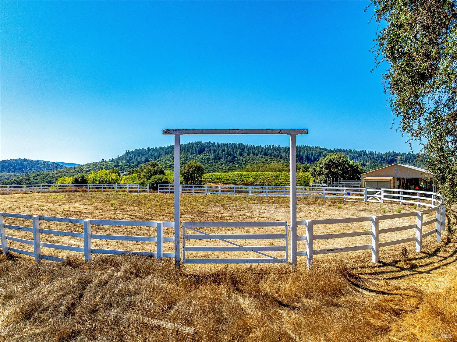 Detail Gallery Image 51 of 57 For 1740 Conn Valley Rd, Saint Helena,  CA 94574 - 3 Beds | 3/1 Baths