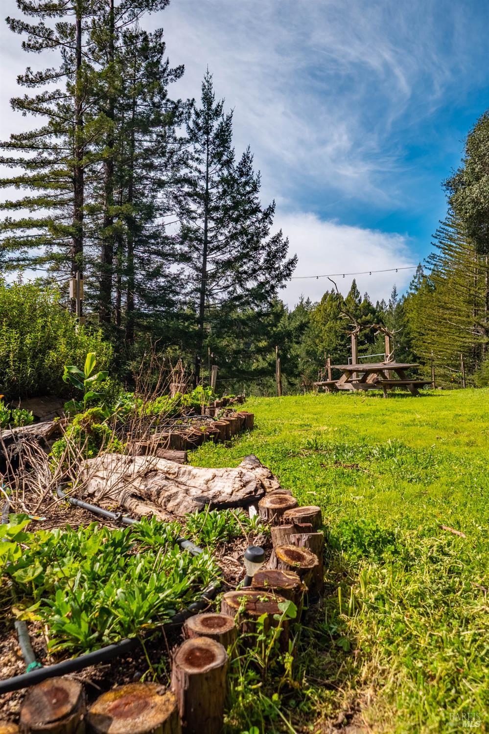 Detail Gallery Image 38 of 71 For 1910 Charoliase Dr, Navarro,  CA 95463 - 2 Beds | 1 Baths