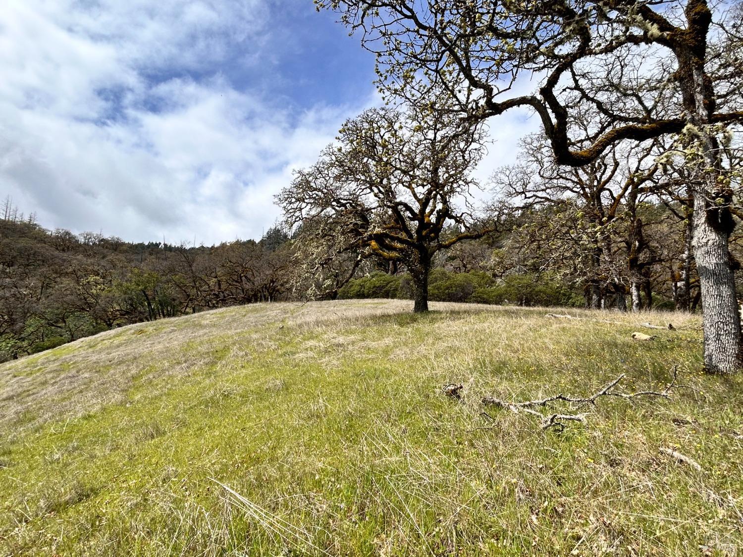 Detail Gallery Image 73 of 75 For 8401 Brandywine Dr, Ukiah,  CA 95482 - 2 Beds | 1 Baths