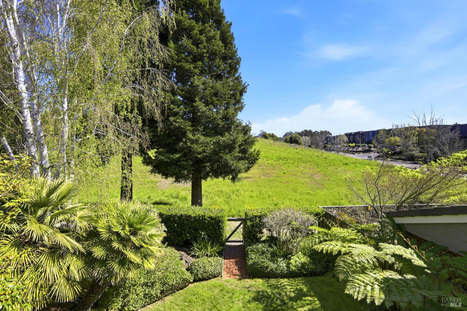 Detail Gallery Image 36 of 44 For 8 Partridge Dr, San Rafael,  CA 94901 - 3 Beds | 2/1 Baths