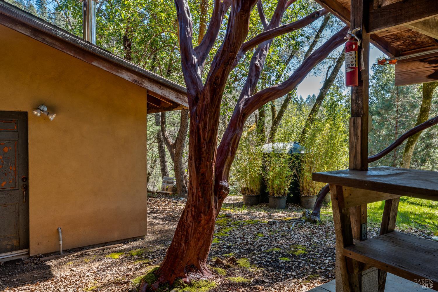 Detail Gallery Image 29 of 41 For 18210 Old Ukiah Pine Rd, Potter Valley,  CA 95469 - 3 Beds | 2 Baths