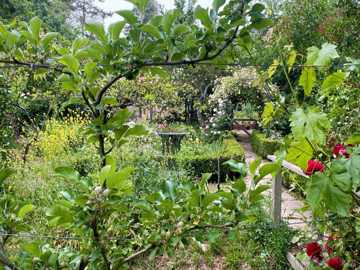 Detail Gallery Image 81 of 95 For 4038 E 3rd Ave, Napa,  CA 94558 - 4 Beds | 3 Baths