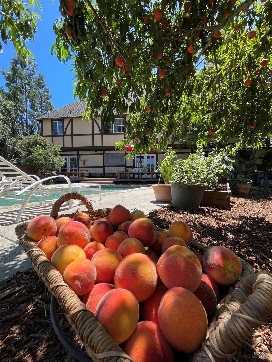 Detail Gallery Image 32 of 95 For 4038 E 3rd Ave, Napa,  CA 94558 - 4 Beds | 3 Baths