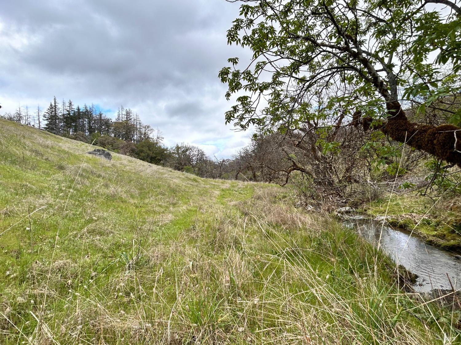 Detail Gallery Image 48 of 75 For 8401 Brandywine Dr, Ukiah,  CA 95482 - 2 Beds | 1 Baths