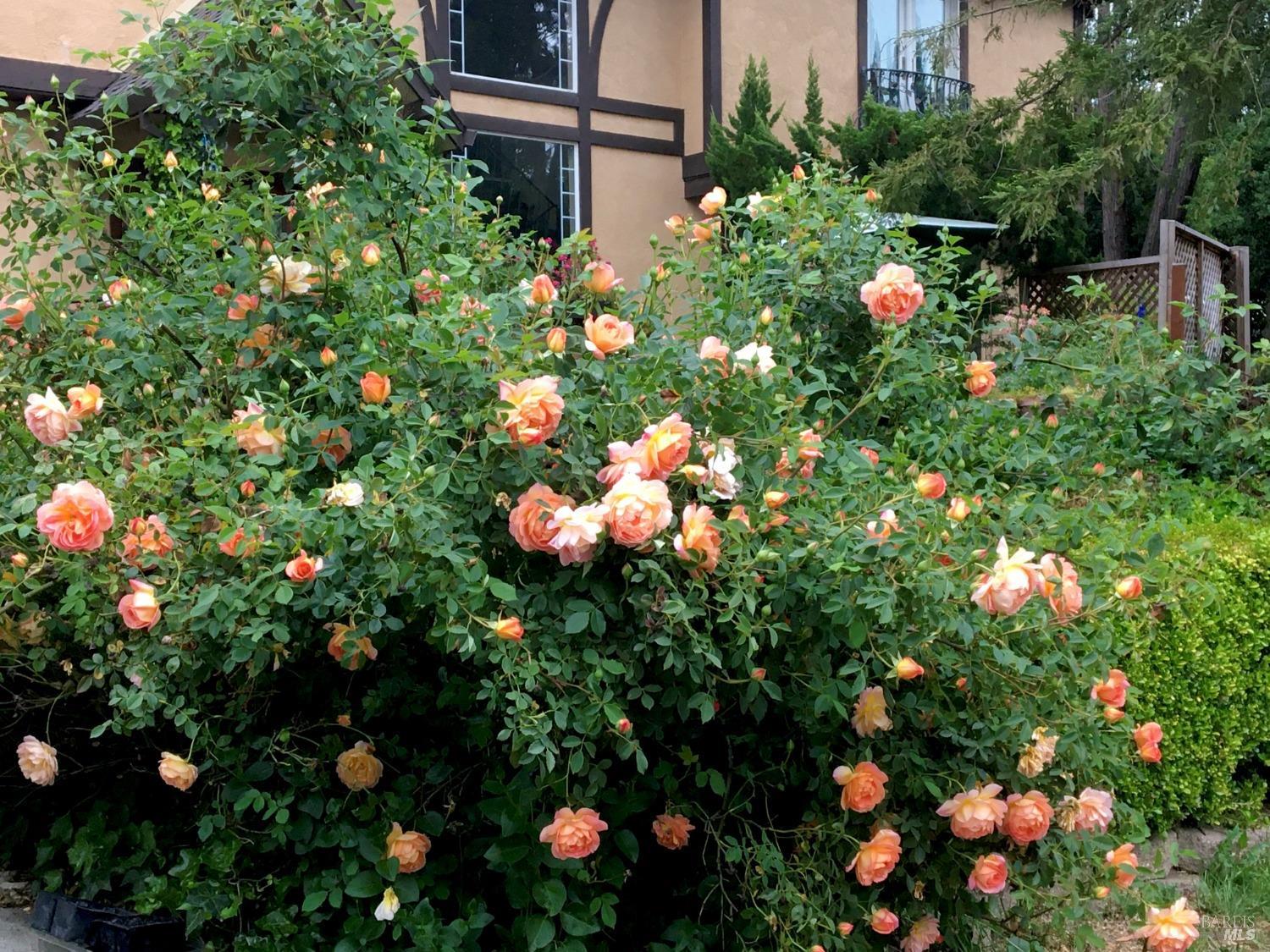 Detail Gallery Image 73 of 95 For 4038 E 3rd Ave, Napa,  CA 94558 - 4 Beds | 3 Baths