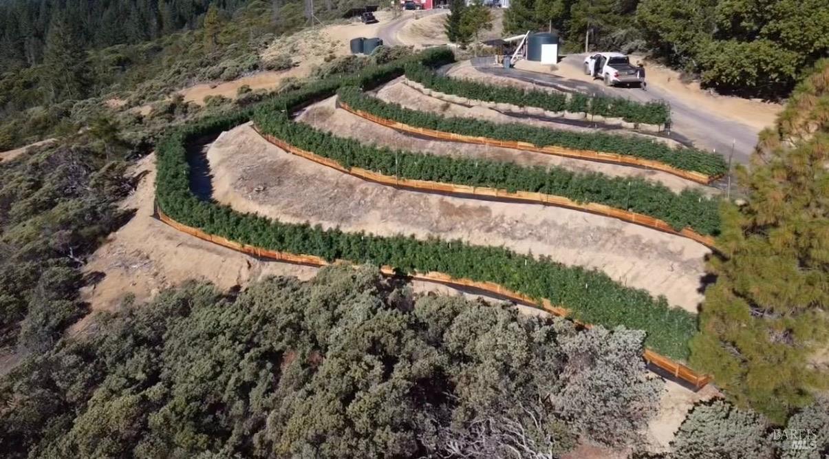 Detail Gallery Image 13 of 28 For 19450 Tomki Rd, Redwood Valley,  CA 95470 - 1 Beds | 1 Baths