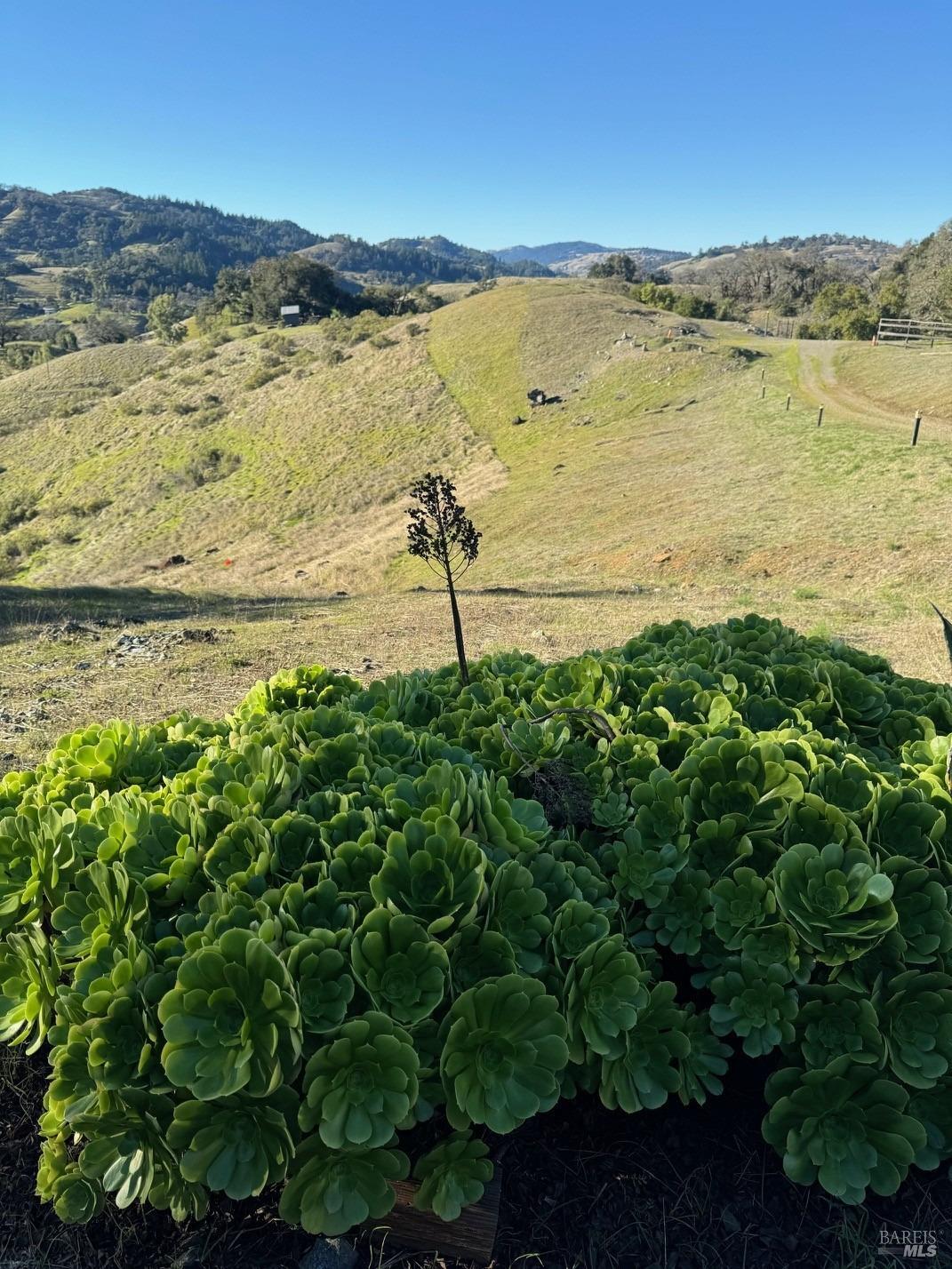 Detail Gallery Image 5 of 9 For 34996 Highway 128 Hwy, Cloverdale,  CA 95425 - – Beds | – Baths