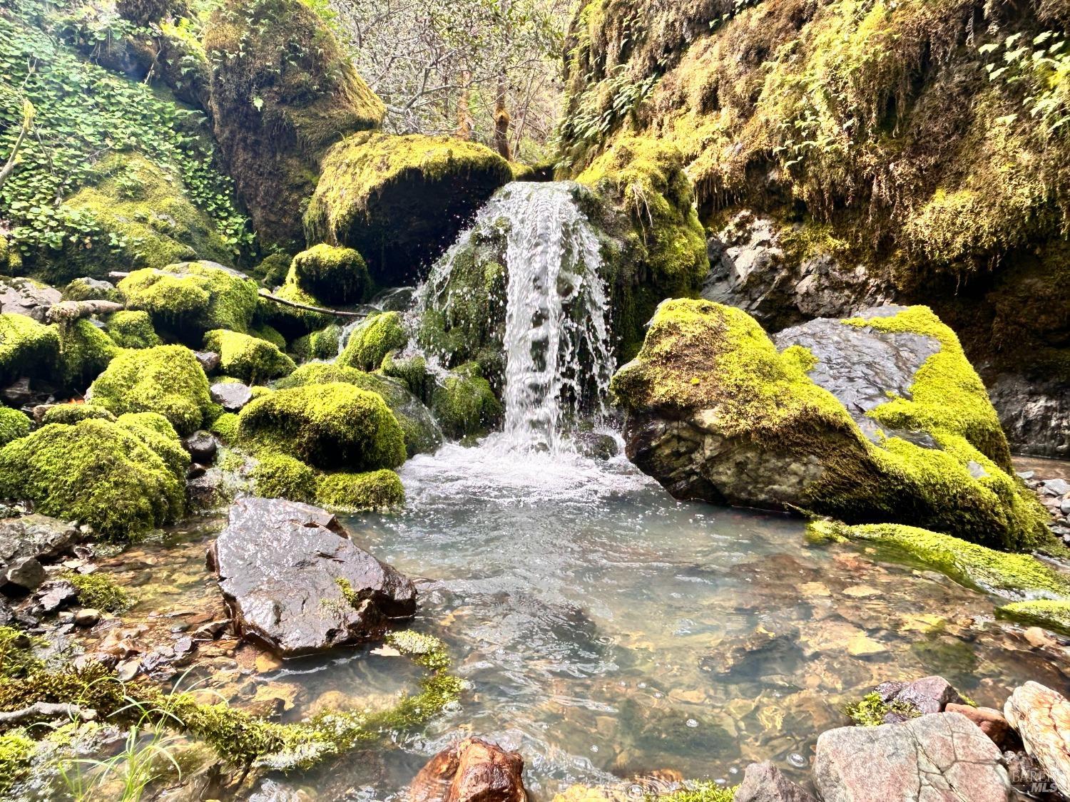 Detail Gallery Image 3 of 75 For 8401 Brandywine Dr, Ukiah,  CA 95482 - 2 Beds | 1 Baths