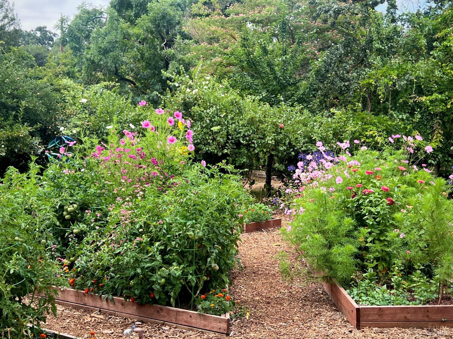 Detail Gallery Image 8 of 95 For 4038 E 3rd Ave, Napa,  CA 94558 - 4 Beds | 3 Baths