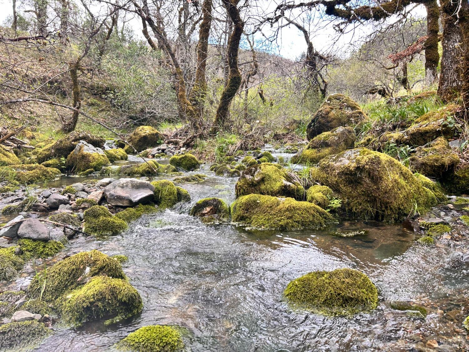 Detail Gallery Image 52 of 75 For 8401 Brandywine Dr, Ukiah,  CA 95482 - 2 Beds | 1 Baths