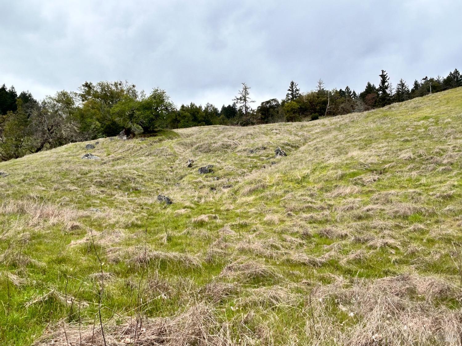 Detail Gallery Image 50 of 75 For 8401 Brandywine Dr, Ukiah,  CA 95482 - 2 Beds | 1 Baths