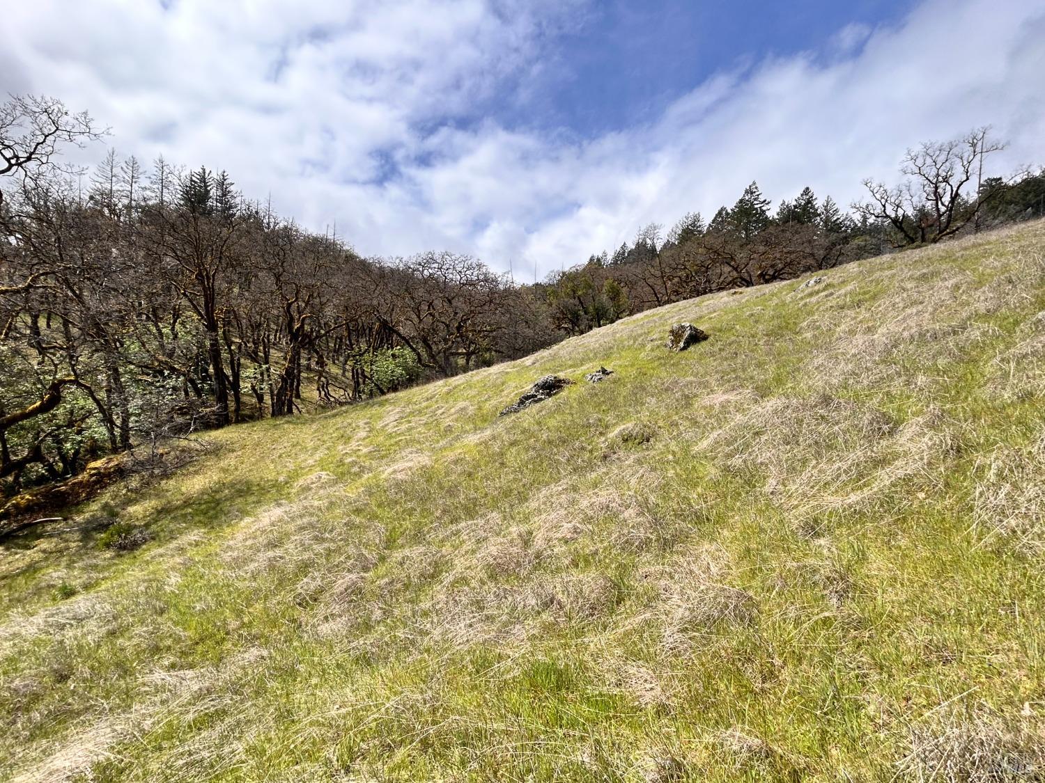 Detail Gallery Image 72 of 75 For 8401 Brandywine Dr, Ukiah,  CA 95482 - 2 Beds | 1 Baths