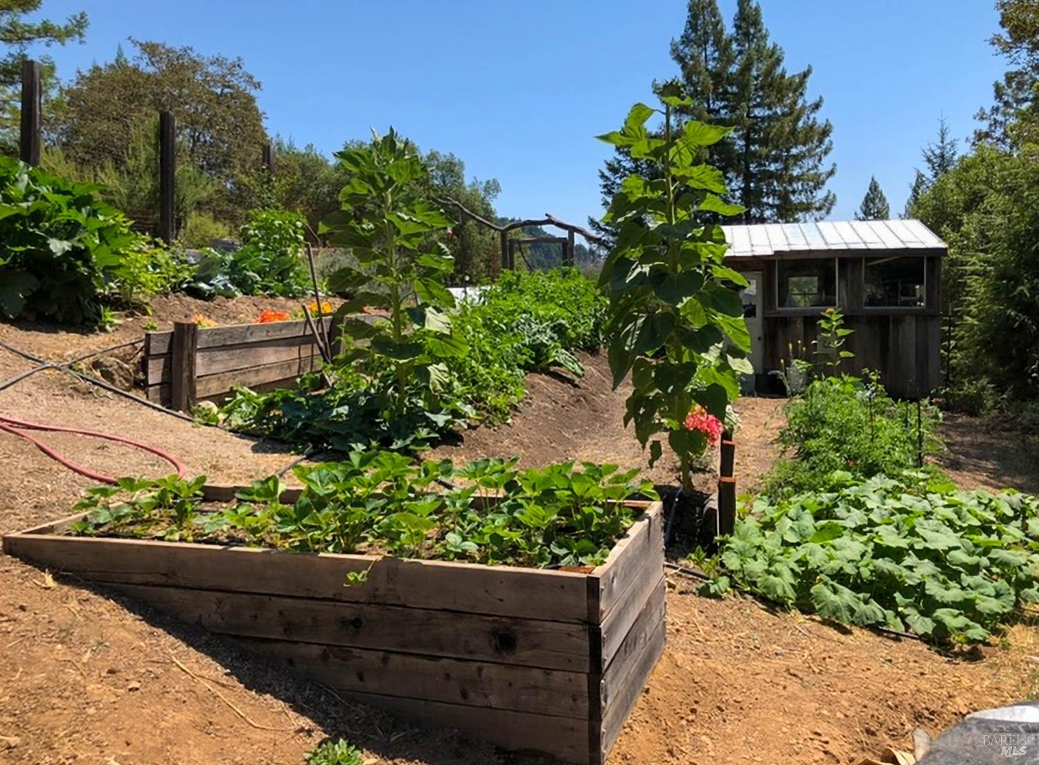 Detail Gallery Image 55 of 71 For 1910 Charoliase Dr, Navarro,  CA 95463 - 2 Beds | 1 Baths