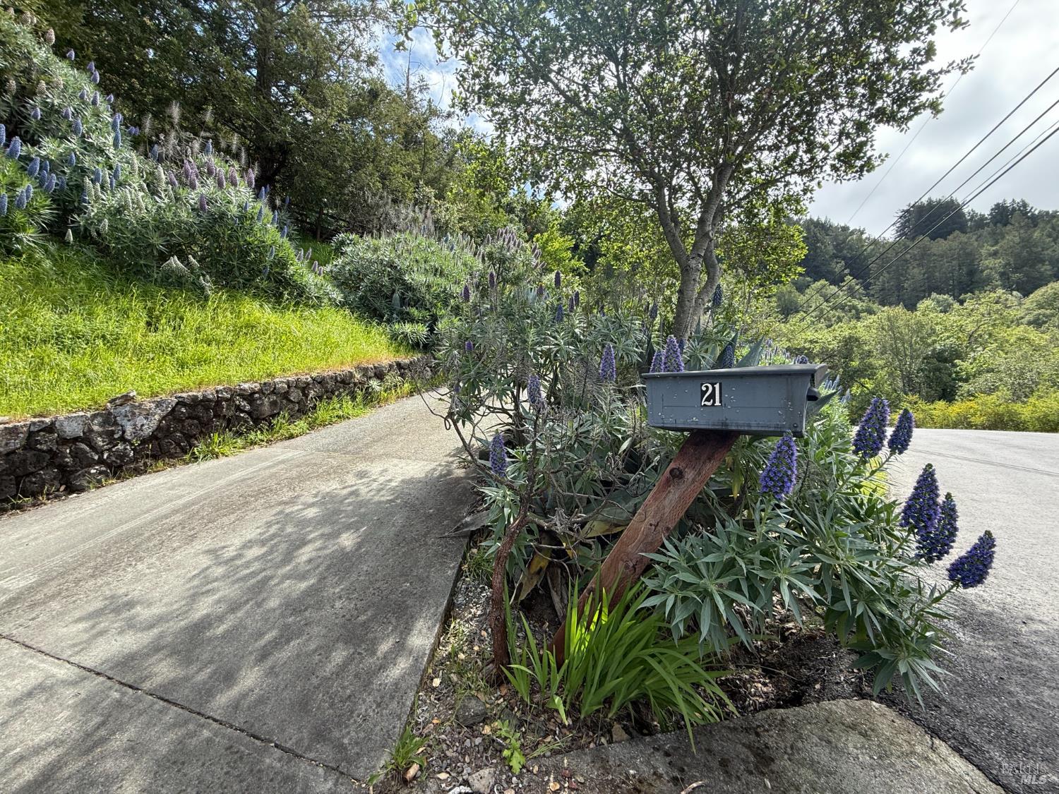 Detail Gallery Image 37 of 38 For 21 Red Rock Way, San Rafael,  CA 94903 - 3 Beds | 2/1 Baths