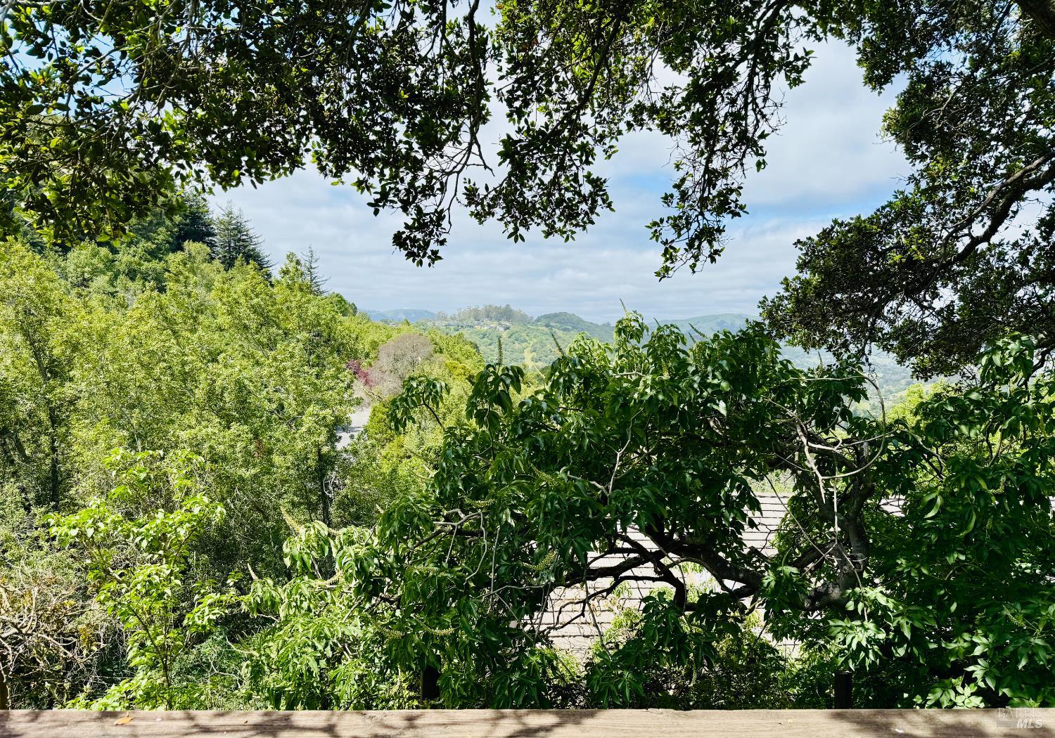 Detail Gallery Image 38 of 38 For 21 Red Rock Way, San Rafael,  CA 94903 - 3 Beds | 2/1 Baths