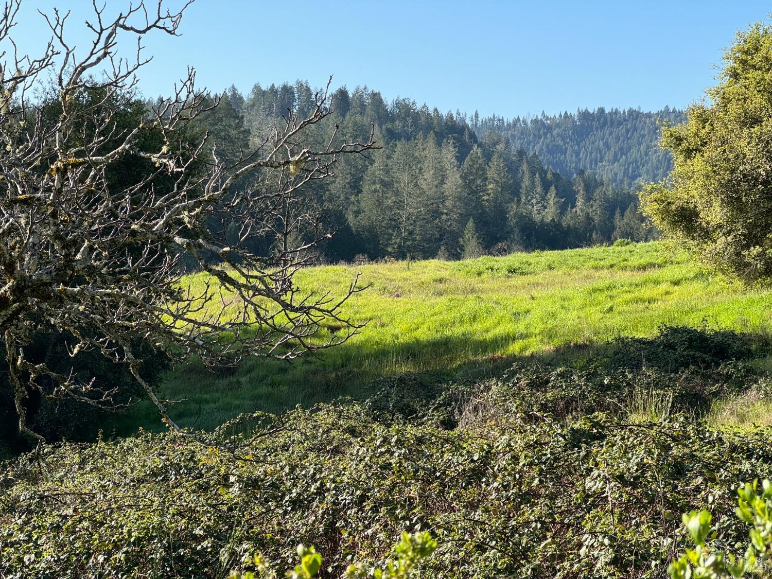 Detail Gallery Image 4 of 11 For 2660 Wallace Creek Rd, Healdsburg,  CA 95448 - – Beds | – Baths