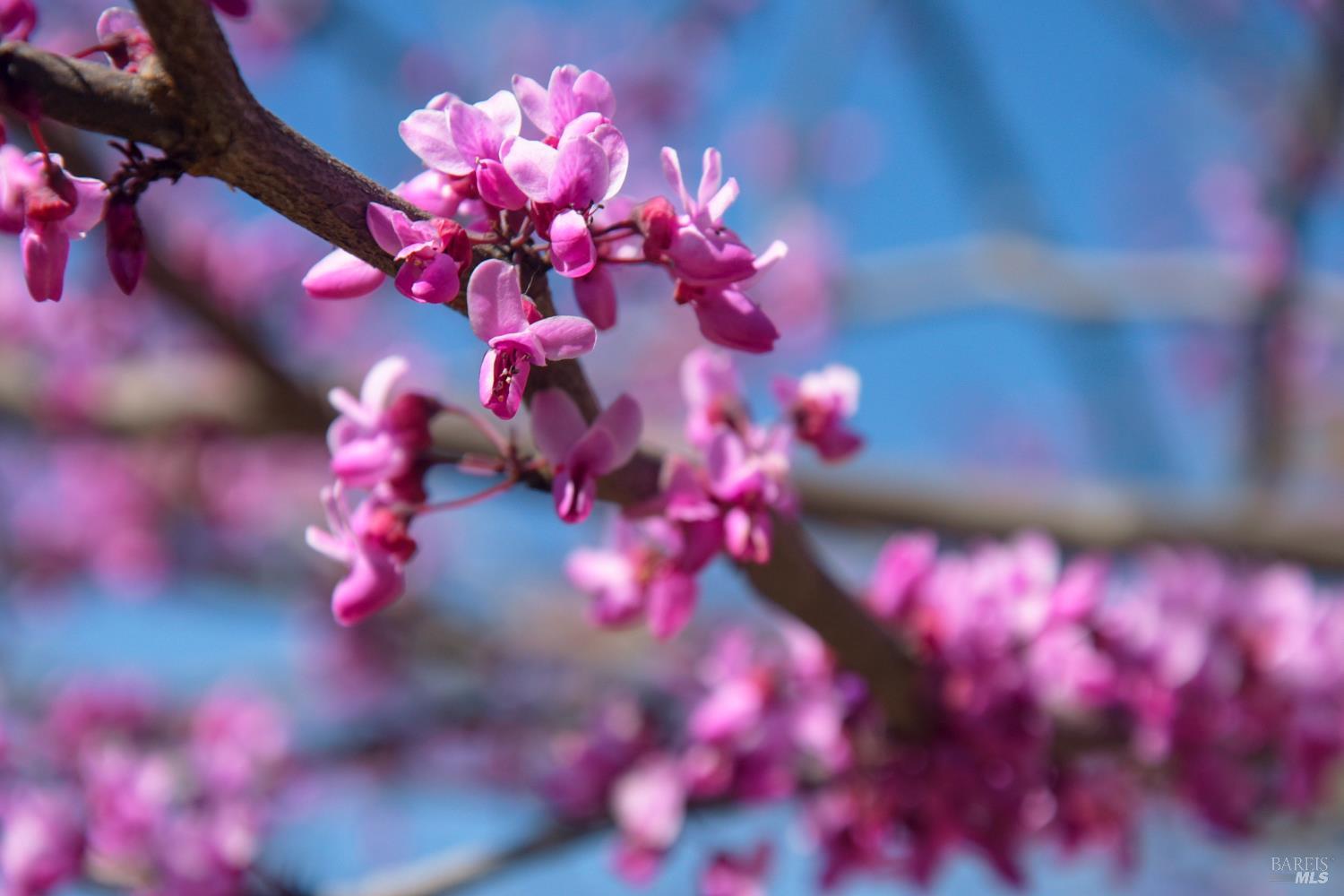 Detail Gallery Image 12 of 15 For 100 Deer Valley Rd 3h,  San Rafael,  CA 94903 - 1 Beds | 1 Baths