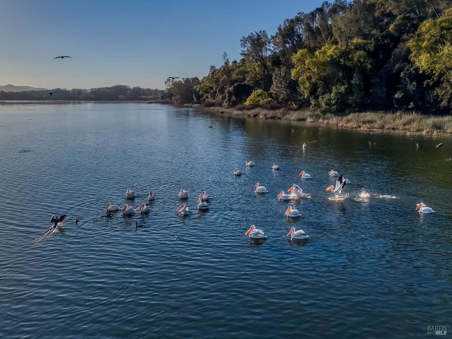 Detail Gallery Image 78 of 82 For 5740 Sunrise Dr, Lower Lake,  CA 95457 - 3 Beds | 2 Baths