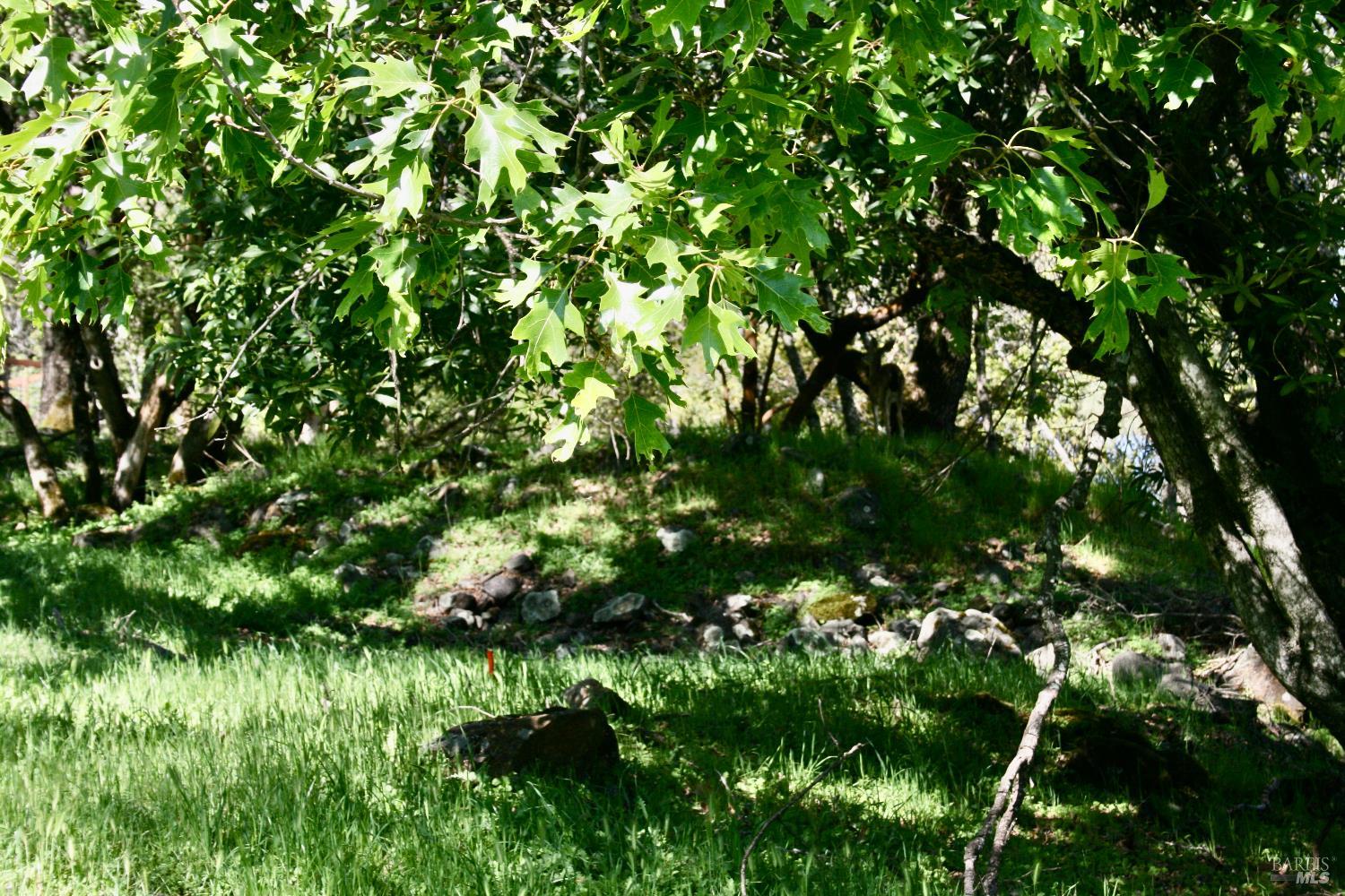 Detail Gallery Image 18 of 48 For 10 Ridgecrest Dr, Napa,  CA 94558 - – Beds | – Baths