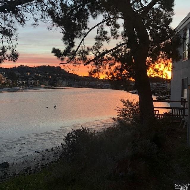 Detail Gallery Image 38 of 48 For 621 Larkspur Plaza Dr, Larkspur,  CA 94939 - 1 Beds | 1 Baths