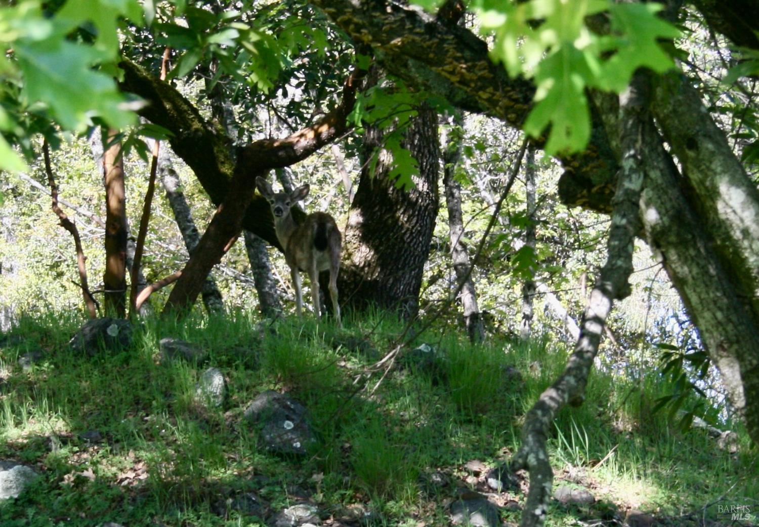 Detail Gallery Image 16 of 48 For 10 Ridgecrest Dr, Napa,  CA 94558 - – Beds | – Baths