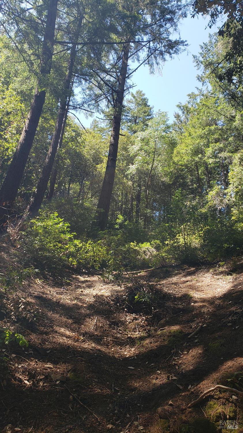 Detail Gallery Image 2 of 18 For 18190 Old Monte Rio Rd, Guerneville,  CA 95446 - – Beds | – Baths